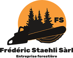 Logo Sponsor 1